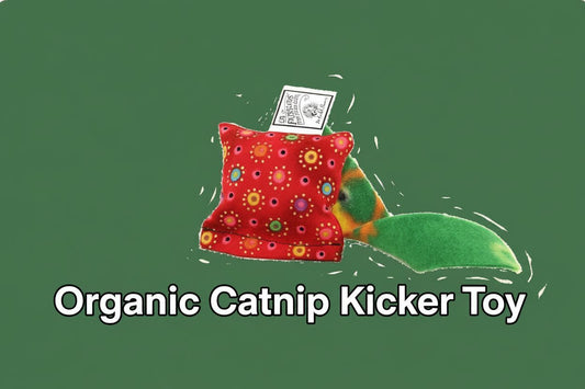Toss About Mini Catnip Pillow Cat Toy - Includes 2 Pieces