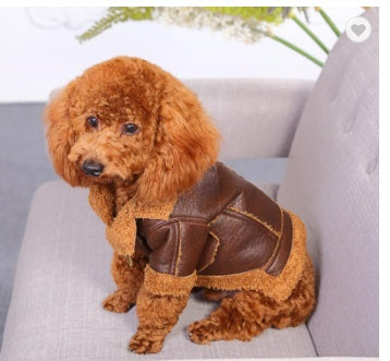 Punk Leather Sweater Dog Autumn And Winter Clothes Coffee
